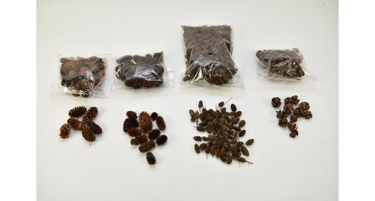Zakje met natuurdeco 4 assortie