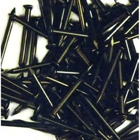 Hoenderdaal fasteners producten staalspijkers a 100st 2 0x20