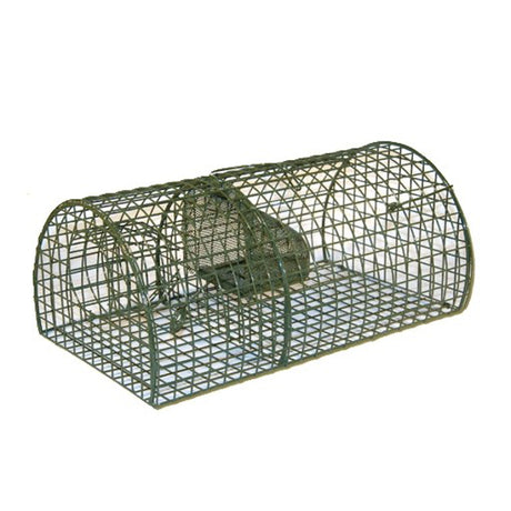 Produkty Ngk Półkula rattanowa
