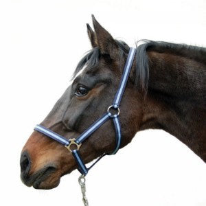 Produkty Abi Hippo Halter Blue 3 pełne