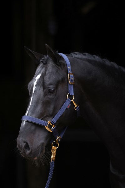 Produkty Abi topline halter niebieski 2 kolby