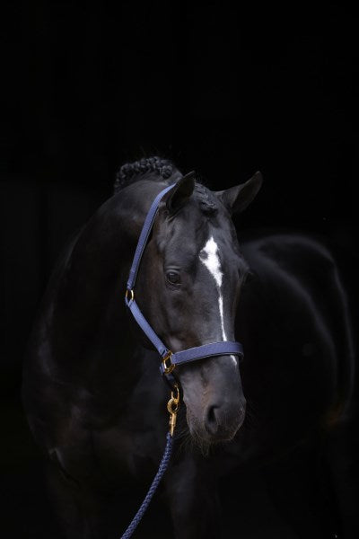 Produkty Abi topline halter blue 2 ekstra pełne