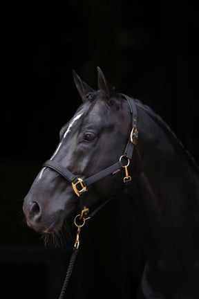 Produkty Abi topline halter czarny 3 pełne