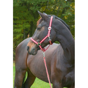 Abi produkty hippo halter bordowy beżowy 1 kucyk