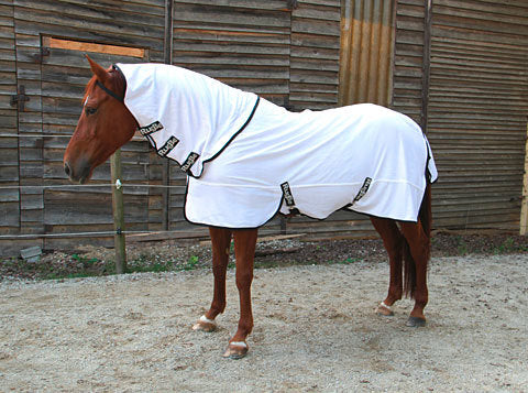 Produkty Dywan muchowy rugbe superfly biały 155205 cm