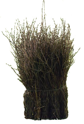 Eurotools Zamiatarka brązowa 75cm