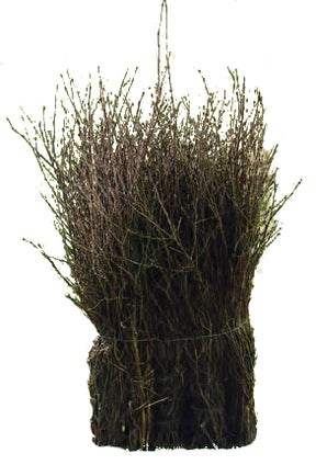 Eurotools Zamiatarka brązowa 75cm