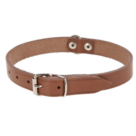 Produkty Obroża skórzana 18mm w kolorze taupe