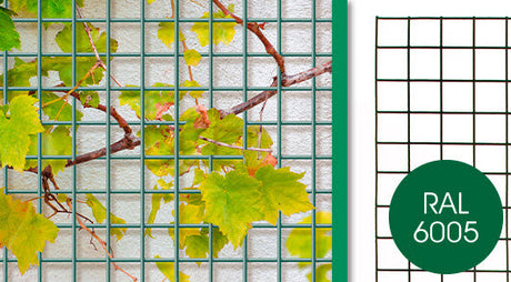 Produkty Giardino Panel druciany boloński 5x5cm x 150cm x 60cm ral 6005 zielony