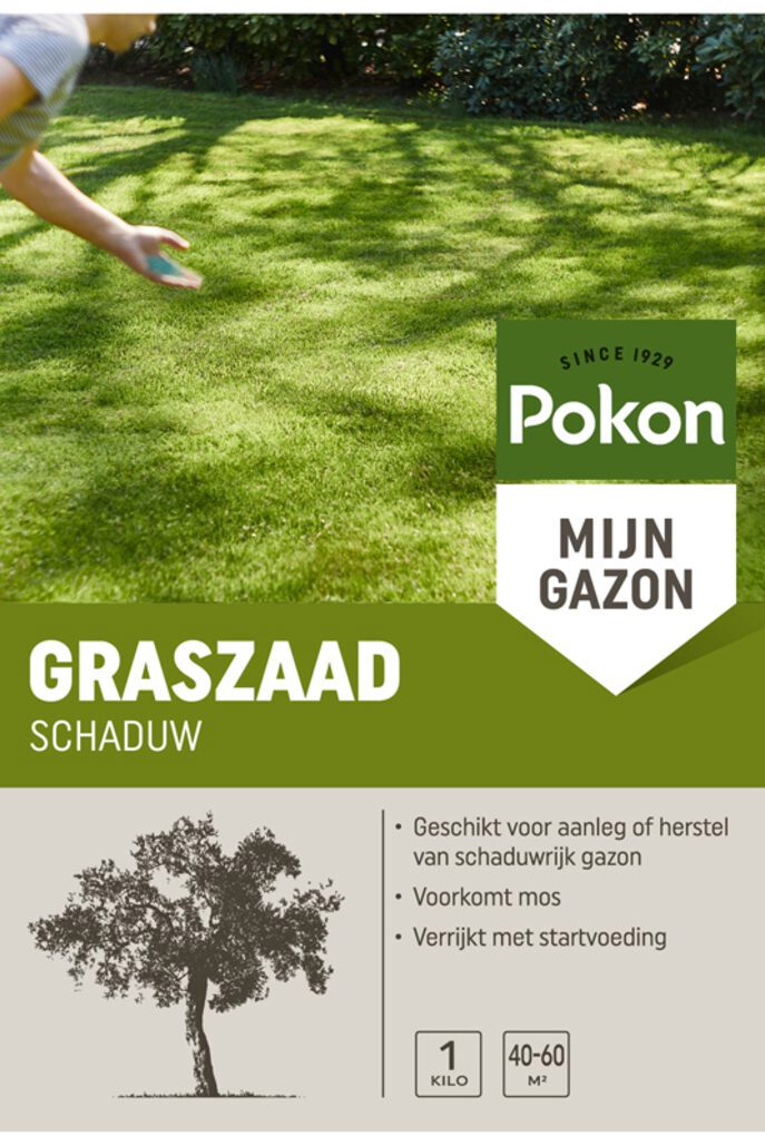 Produkty Pokon Nasiona traw w odcieniu 1kg