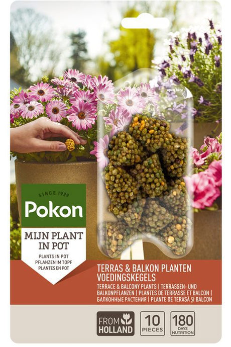 Produkty Pokon tarasowe rośliny balkonowe odżywianie długich szyszek 10 szt
