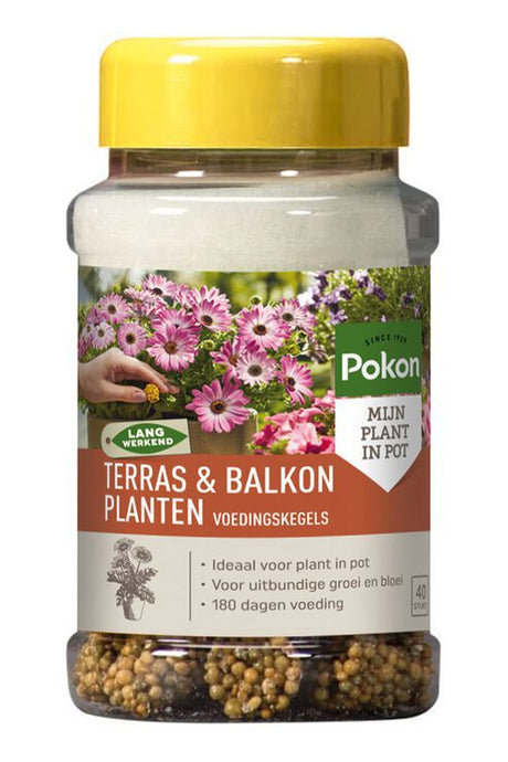Produkty Pokon tarasowe rośliny balkonowe odżywianie długich szyszek 40 szt