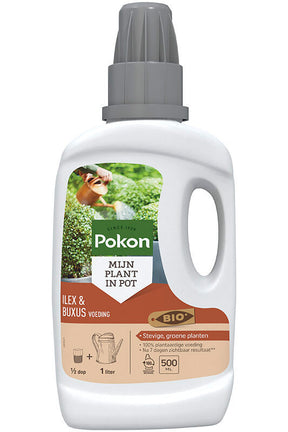 Produkty Pokon bio bukszpan ilex odżywka 500 ml