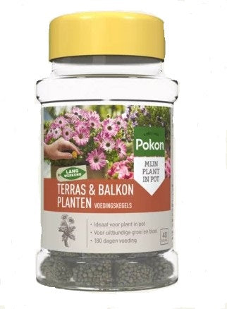 Produkty Pokon tarasowe rośliny balkonowe szyszki odżywcze 40 szt