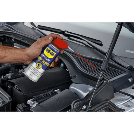 WD40 Specialist® High -Quality Silikon sprayu 250 ml