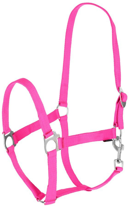 Abi produkty hippo halter różowy 0 szetlandzki