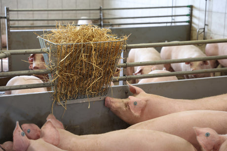 Produkty Stojak na siano Podwójny stojak górny, drobne odstępy między prętami 20 mm