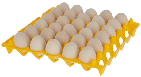 Produkty Plastikowy pojemnik na jajka na 30 jaj