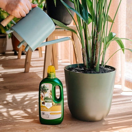 Produkty Pokon Pokarm dla roślin doniczkowych 1l