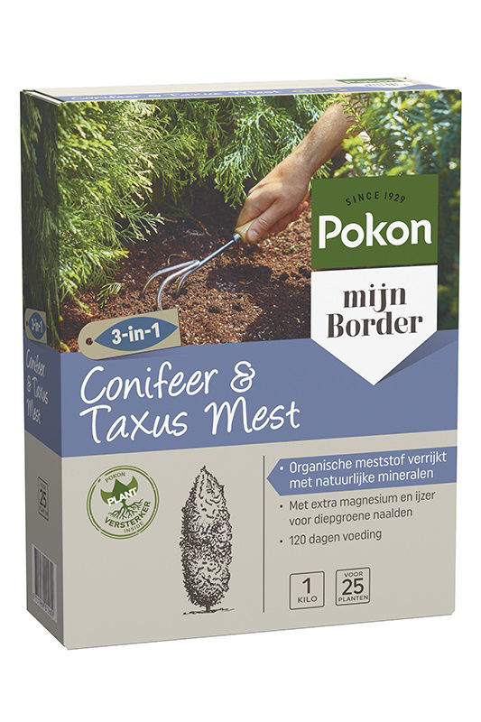Nawóz na cis iglasty Pokon 1kg