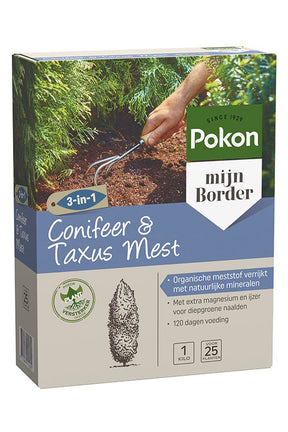 Nawóz na cis iglasty Pokon 1kg