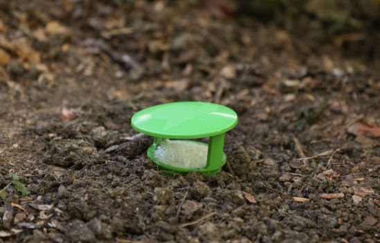 Miska na ślimaki-pułapka o średnicy 15 cm