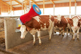 Produkty Szczotka do krów happycow uno pozioma