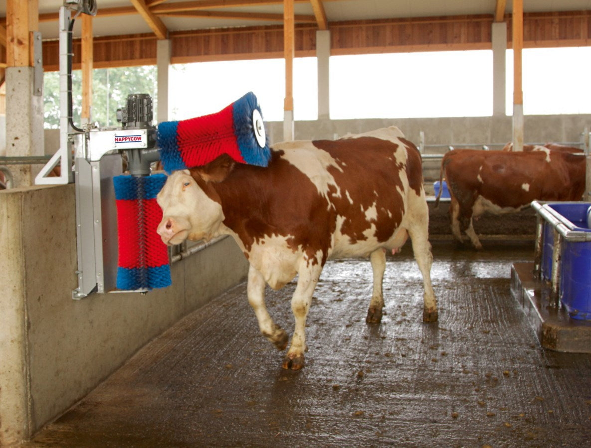 Produkty Happycow krowa szczotka duet