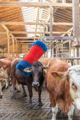 Produkty Happycow szczotka do bydła Freemaxi