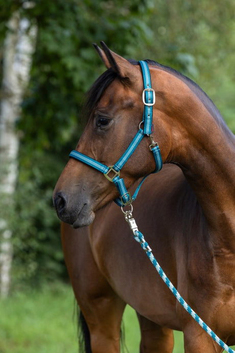 Produkty Abi Lina uwiązowa Mustang Hak do wózka 200cm turkusowy
