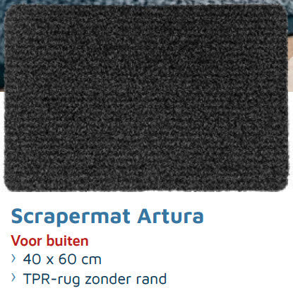 Producten outdoor en indoormat gemius 40 x 60cm 2 pack