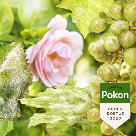 Pokon Bio Kuracja na sprężyste i zdrowe róże w sprayu 750ml