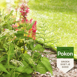 Produkty Pokon na uporczywe chwasty, koncentrat weedex 100ml