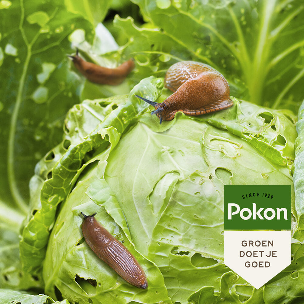Pokon produkty bio przeciw ślimakom granulat 450gr