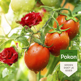 Pokon produkty bio przeciw owadom koncentrat 225ml Polysect Gyo