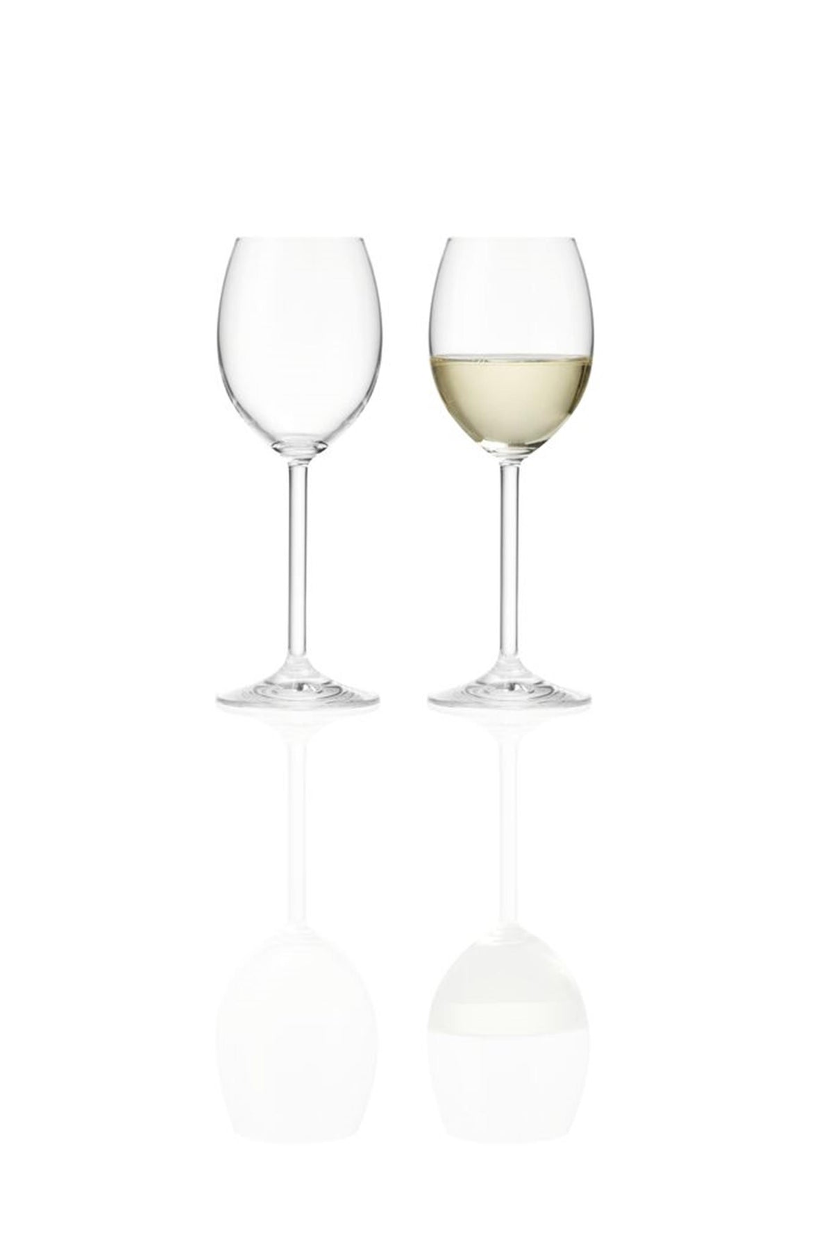 Zestaw kieliszków do wina białego Montana, 6 sztuk, 250 ml
