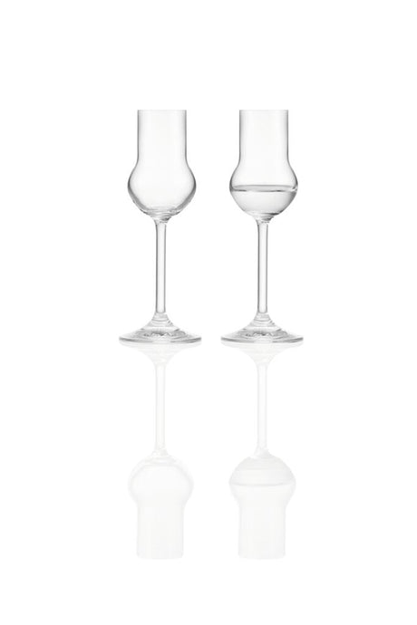 Kieliszki do czystego likieru Montana 6szt. 60ml