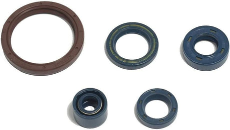 Zestaw uszczelek silnika Athena osłona silnika do TC250-450,03-10,