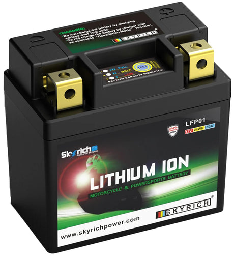 Bateria Skyrich lifepo4 lfp01 bateria lfp01-i litowa