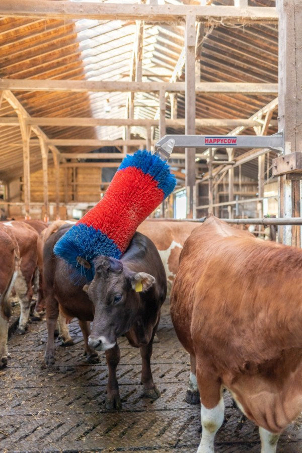 Produkty Happycow szczotka do bydła Freemaxi