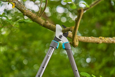 Produkty Gardena nożyce do przycinania telecut pro s