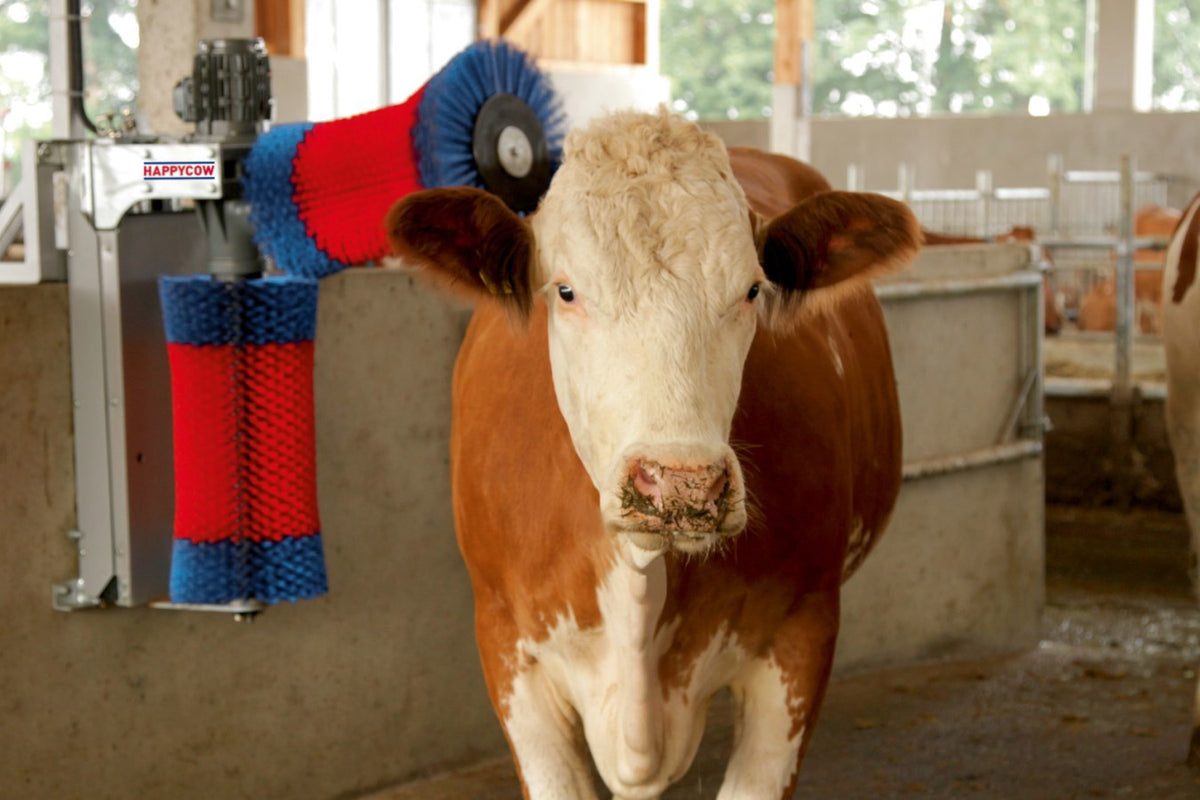 Produkty Happycow krowa szczotka duet