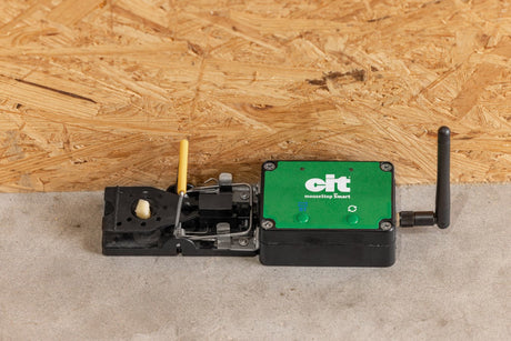 Produkty pułapka na myszy smart cit Mousestop