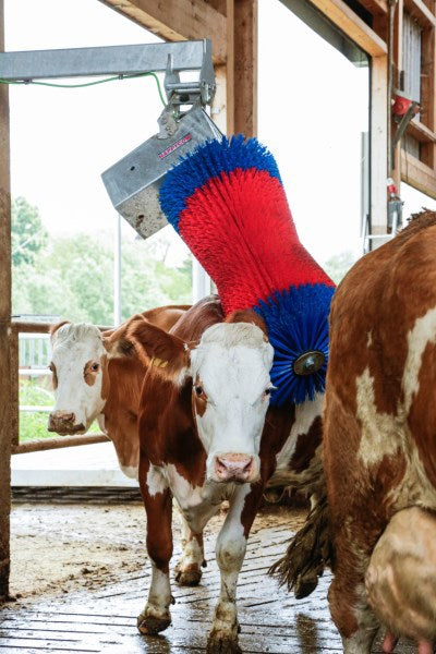 Produkty Happycow szczotka do krów maxiswing