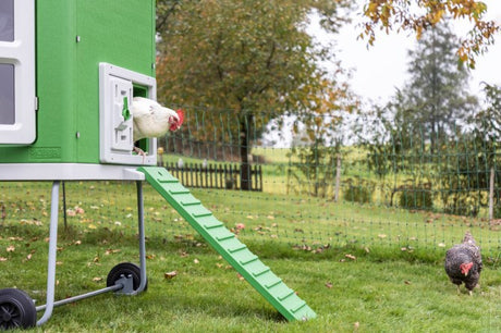 Produkty Abi Mobilny kurnik z tworzywa sztucznego