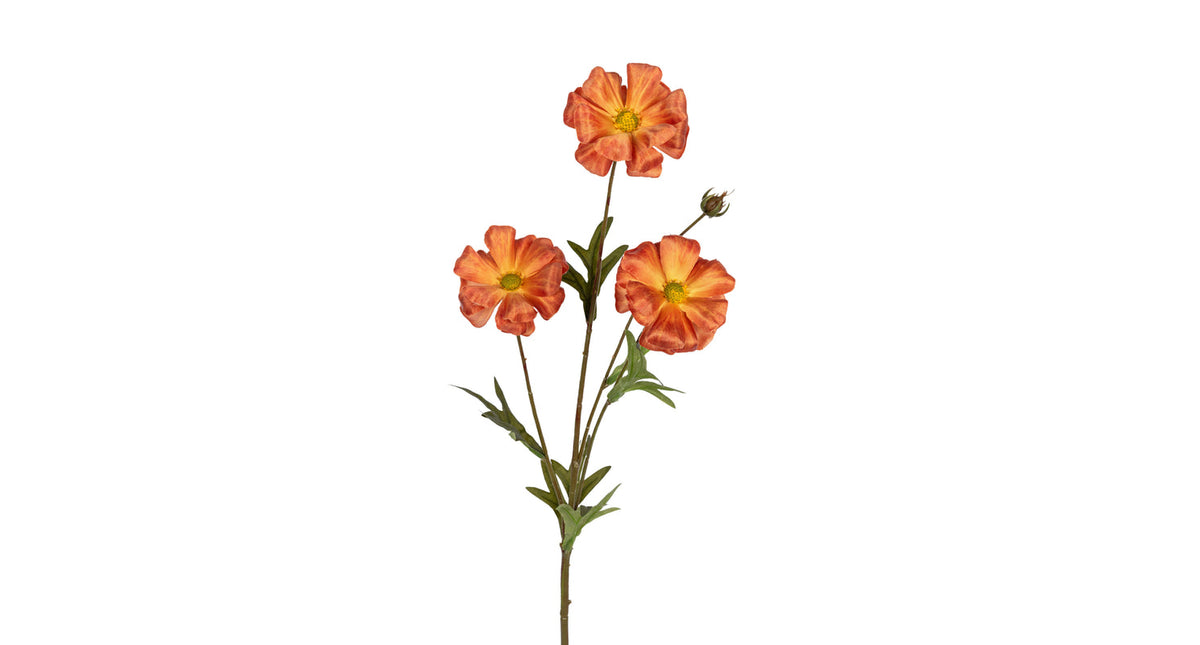 Ranonkel butterfly l70cm oranje