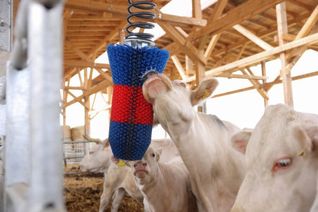 Produkty Happycow szczotka do bydła flexiswing