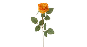 Roos l66cm oranje