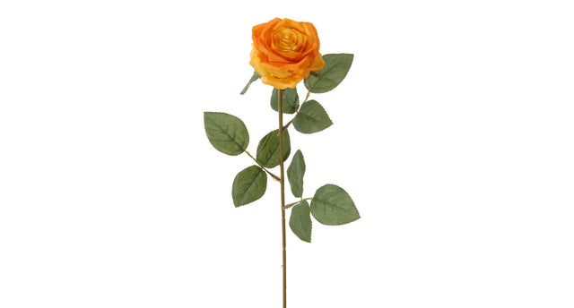 Roos l66cm oranje