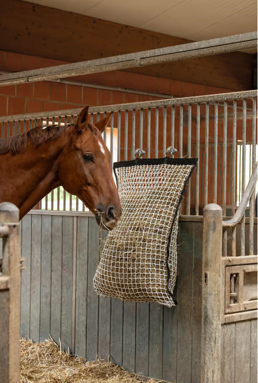 Producten hooinet met vulhulp 83x83cm maas 3x3